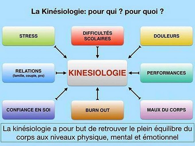 Kin siologie D finition Principes Et Bienfaits Pour Le Corps Et L Kin siologie D finition Principes Et Bienfaits Pour Le Corps Et L